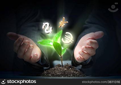 Money Sprouting - finance and money symbols sprouting from stems