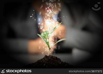 Money Sprouting - finance and money symbols sprouting from stems