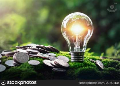 money stack with light bulb on green grass and sunshine in nature. concept saving money and energy