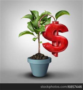 Money tree and fruitful investment business financial concept as a tree growing an apple shaped in a money symbol as a profitable finance icon with 3D illustration elements.