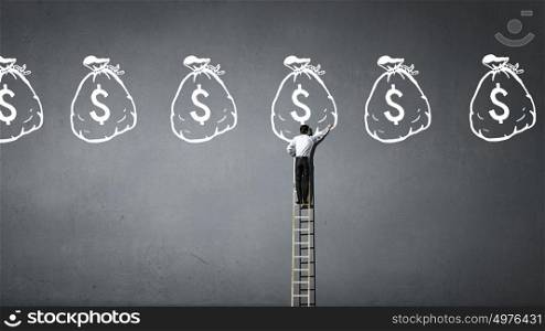 Money wealth. Rear view of businessman standing on ladder and reaching money sign