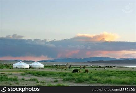 Mongolian landscape in the sunset