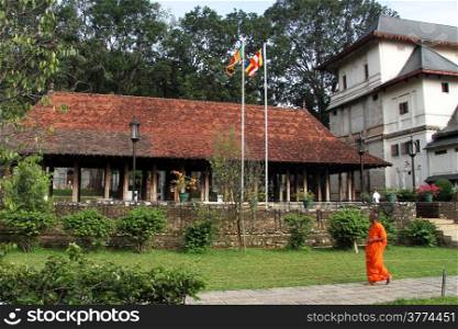 Monk walk in the inner yard of Tooth temple in Kandy, Sri Lanka
