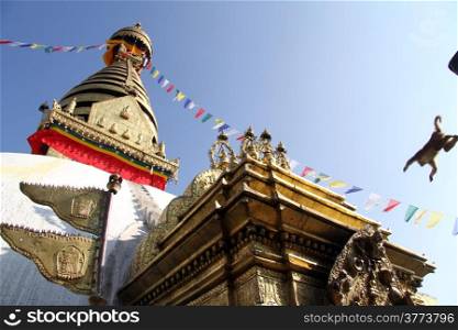 Monkey jump on the Swayambhunath stupa in Kathmandu, Nepal