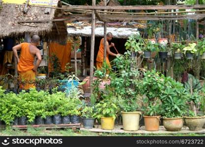 Monks and flowers in ceramic pots in monastery wat Klong Prao, Ko Chang, Thailand