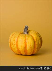 monochromatic still life composition with pumpkin
