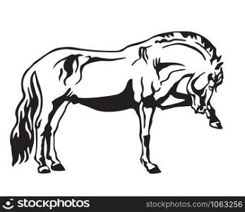 Monochrome decorative portrait of horse standing in profile, horse exterior. Vector isolated illustration in black color on white background. Image for design and tattoo.