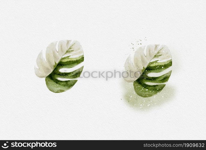 Monstera leaf isolated on white paper, Hand drawn watercolour top view of tropical green leaf, Illustration Natural elements isolated on white background design for textile or Greeting card