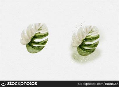 Monstera leaf isolated on white paper, Hand drawn watercolour top view of tropical green leaf, Illustration Natural elements isolated on white background design for textile or Greeting card