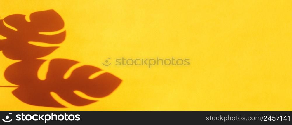 monstera leaf shadow on orange background with space for text. nature background.. monstera leaf shadow on orange background with space for text. nature background