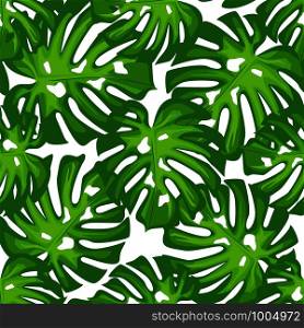 Monstera leaves seamless patern. Botanical leaf backdrop. Design for fabric, textile print, wrapping paper. Vector illustration. Monstera leaves seamless patern. Botanical leaf backdrop.