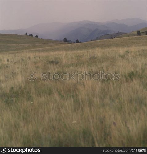 Montana landscape of hills and mountains