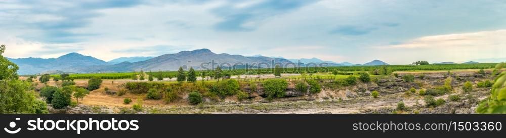 Montenegrin vineyard in mountains near Niagara fall