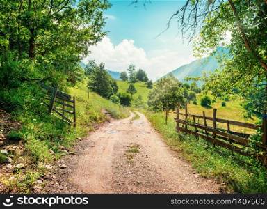 Montenegro, the road in a canyon. Canyon near city Zabljak. Road in a canyon