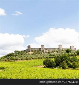 Monteriggioni, Tuscany region, Italy. Wineyard in front of the ancient medieval walls
