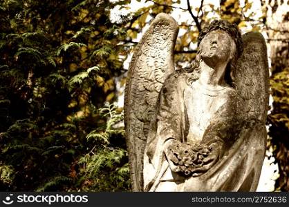 Monument to an angel on a cemetery. Since its creation in 1787 Lychakiv Cemetery Lvov, Ukraine