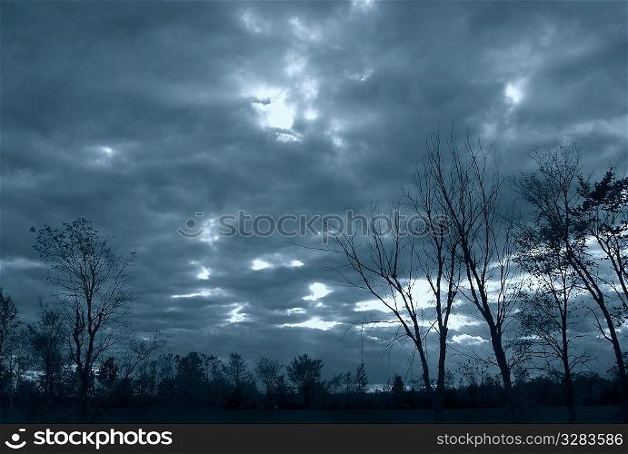 Moody fall sky with silhouetted trees.