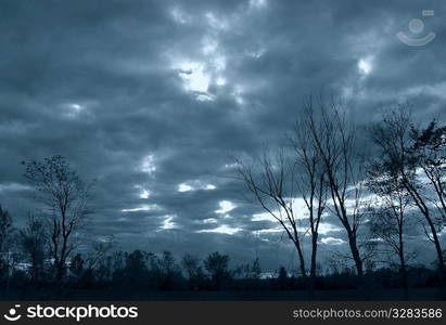 Moody fall sky with silhouetted trees.