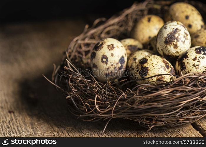 Moody natural lighting vintage style image of quaills eggs. food, fresh, raw, fruit, vegetables, wood, wooden, background, grunge, retro, vintage, moody, dark,