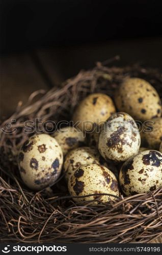 Moody natural lighting vintage style image of quaills eggs