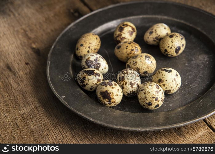 Moody natural lighting vintage style image of quaills eggs