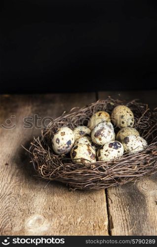 Moody natural lighting vintage style image of quaills eggs
