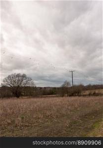 moody skyline clouds over autumn farm field   essex  england  uk