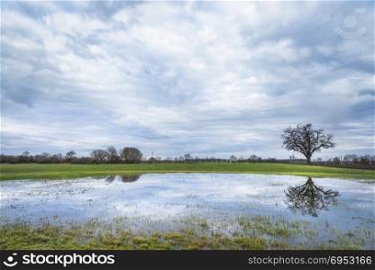 Moody spring scenery with a stormy sky, a green meadow and a single big tree reflected in the water of a small pond, in Schwabisch Hall, Germany.