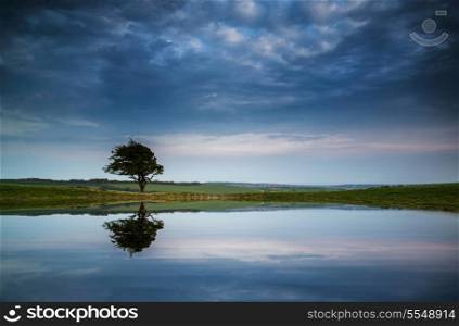 Moody stormy sky reflected in dew pond countryside landscape