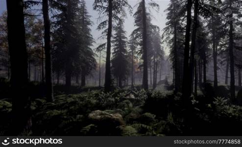moon light over the spruce trees of magic mystery night forest