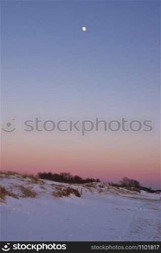 Moon over the frozen and snowy beach of Parnu, Estonia, with dunes grown with bushes and clear blue sky colored by sunset in pink, on cold winter evening. Vertical image