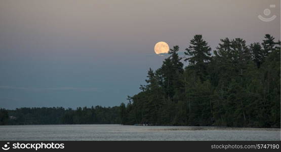 Moon over trees, Lake of The Woods, Ontario, Canada