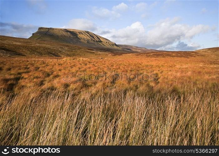 Moor and marsh land in front of Pen-y-Ghent in Yorskshire Dales National Park
