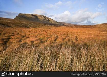 Moor and marsh land in front of Pen-y-Ghent in Yorskshire Dales National Park