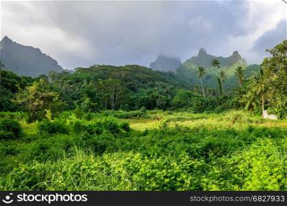 Moorea island jungle and mountains landscape. French Polynesia. Moorea island jungle and mountains landscape