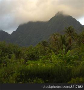 Moorea, Tahiti,Horizon View at Moorea Tahiti