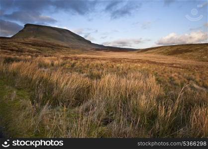 Moors in front of Pen-y-Ghent on Pennine Way in Yorkshire Dales National Park