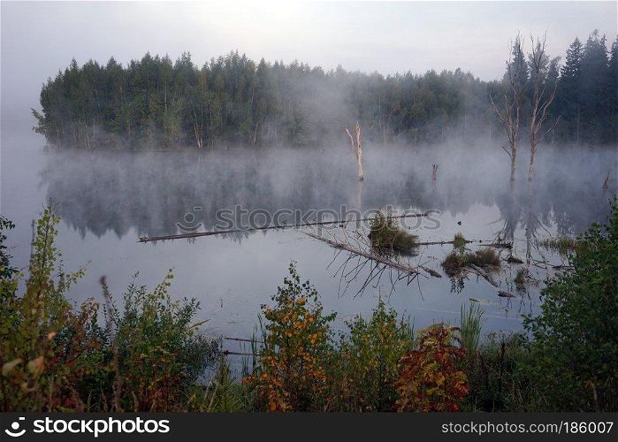 Mor ning lake in the Moscow region, Russia