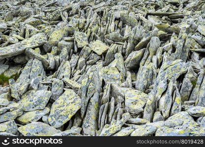 Moraine in Carpathian mountains, suitable as mountaneering background