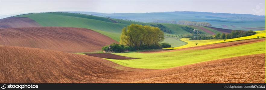 Moravia hillsides