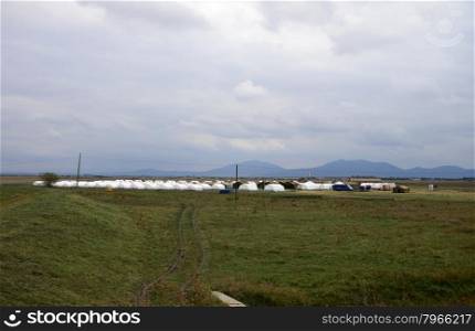 moravita romania red cross syrian refugee camp