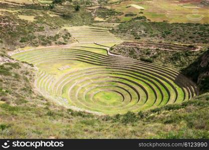 Moray Incan agricultural terraces at Moray, Peru