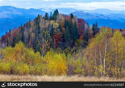 Morning autumn colorful forest and snow on mountain top behind.