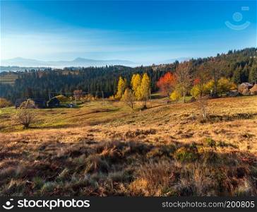 Morning autumn slopes  with colorful trees  of Carpathian Mountains  Yablunytskyj Pass, Ivano-Frankivsk oblast, Ukraine .