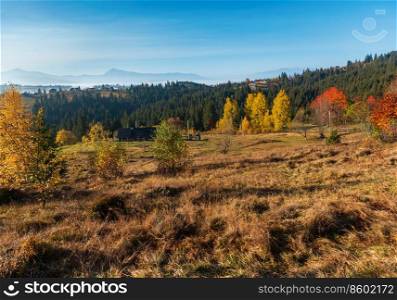 Morning autumn slopes  with colorful trees  of Carpathian Mountains  Yablunytskyj Pass, Ivano-Frankivsk oblast, Ukraine .