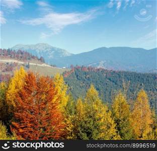 Morning autumn slopes  with colorful trees  of Carpathians  Yablunytskyj Pass, Ivano-Frankivsk oblast, Ukraine . View on Gorgany mountain range.
