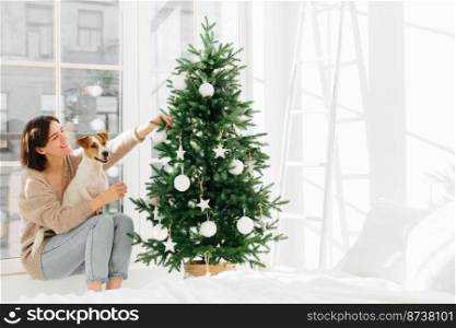 Morning before Chtistmas. Merry delighted woman sits on windowsill with pedigree jack russell terrier dog, enjoy New Year holiday, decorate firtree with decoration ball. People, animals, winter time