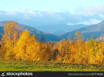 Morning Carpathian mountain autumn landscape (Ivano-Frankivsk region, Ukraine)
