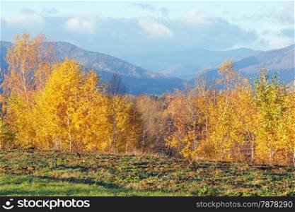 Morning Carpathian mountain autumn landscape (Ivano-Frankivsk region, Ukraine)