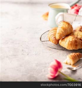 Morning coffee, croissants and spring tulips on light grey background, breakfast concept